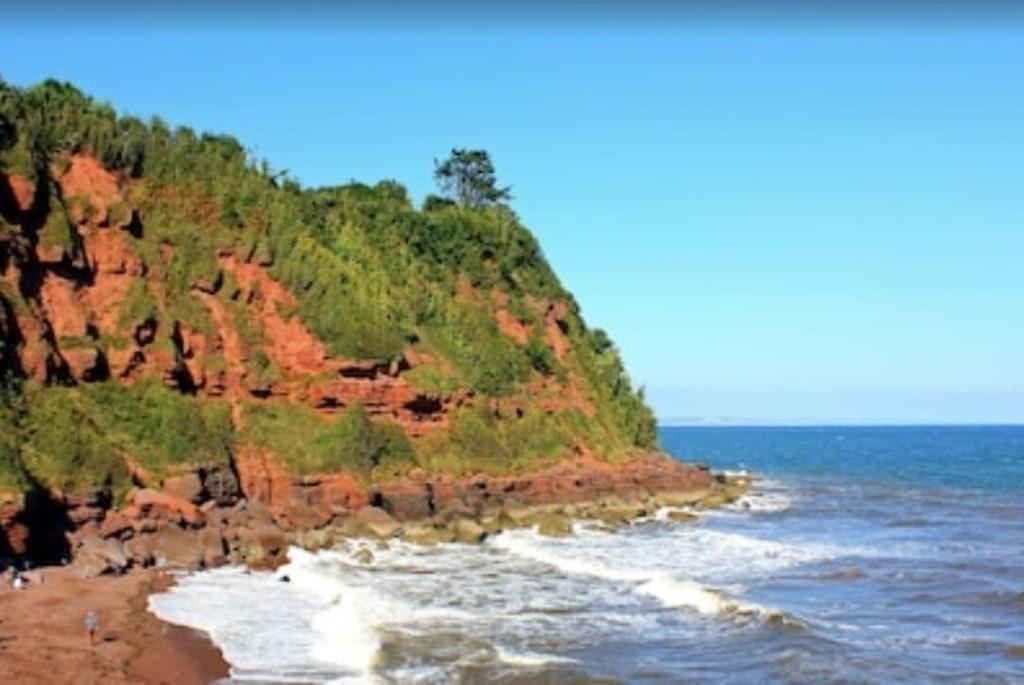 Stunning Coastal Apartment In Maidencombe With Sea Views & Garden Stokeinteignhead Exteriör bild